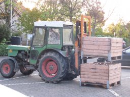 Obstmeilenlauf 2019